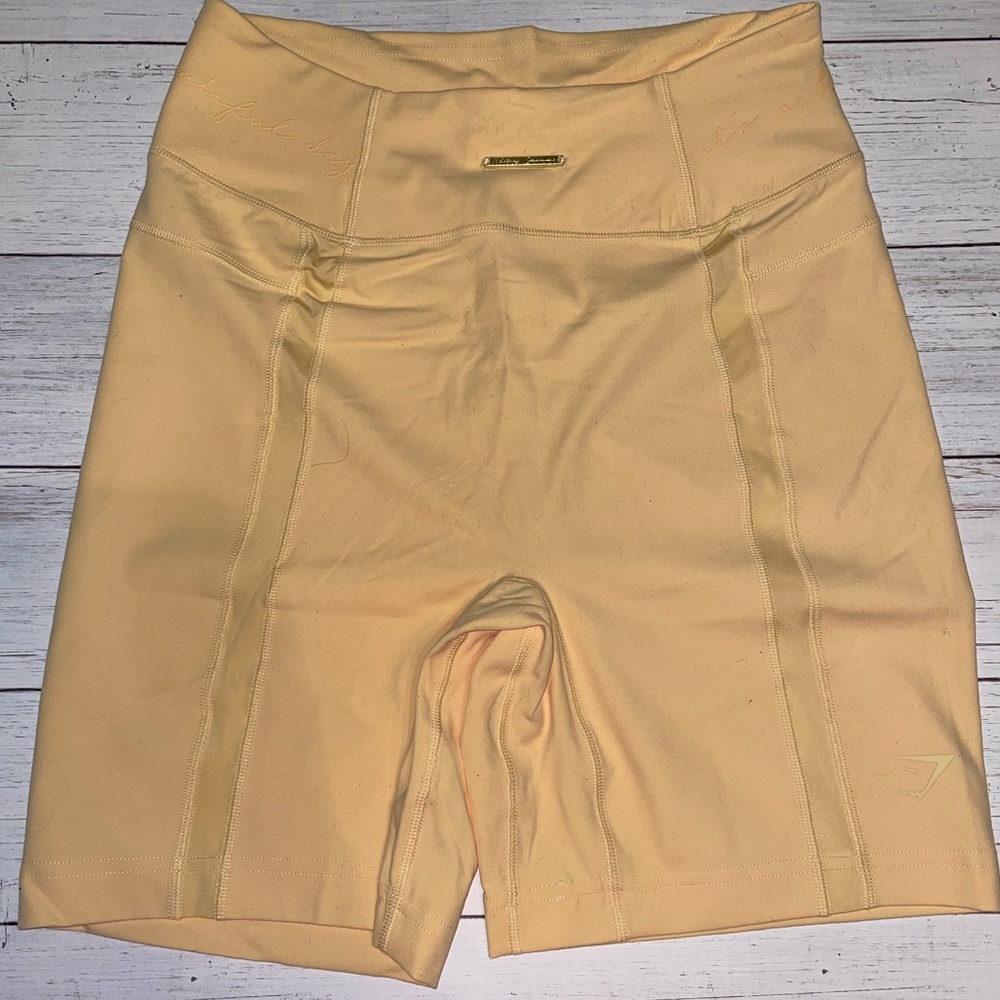 Whitney Simmons mesh shorts